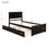 Platform Bed with Twin Size Trundle, Twin Size Frame, Espresso WF194473AAP