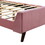 Full Size Upholstered Platform Bed, Velvet, Pink WF308657AAH