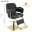 Elegant Barber Chair, Salon Chair for Hair Stylis, with Heavy Duty Hydraulic Pump Adjustable Barber Chair for Beauty Salon Spa Equipment, Black WF318042BAA