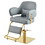 Elegant Barber Chair, Salon Chair for Hair Stylis, with Heavy Duty Hydraulic Pump Adjustable Barber Chair for Beauty Salon Spa Equipment, Gray WF318042FAA