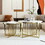 Modern Round Nesting Coffee Table Set 2-Piece White & Marbling Top Gold Base WF320654AAK