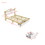 Metal Platform Bed with 2 drawers, Storage Headboard, Queen, Gold WF321526AAL