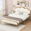 Full Size Metal Platform Bed with upholstered headboard and footboard WF323166AAK