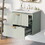 Modern 24-inch Wall-Mounted Bathroom vanity with 2 Drawers, Green - Ideal for Small Bathrooms WF324047AAF