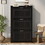 U-Can Shoe Storage Cabinet for Entryway with 3 Flip Drawers, Modern Shoe Organizer Cabinet, Free Standing Shoe Rack for Hallway, Living Room, Black WF531402AAB