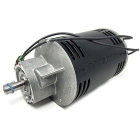 NSS 36 Volt Brush Motor With Gearbox Assembly, 200 Rpm 0.75 Hp