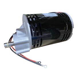 NSS Brush Motor-36V 1.0Hp 300Rpm With Gearbox