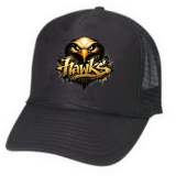 8U OG Hawks