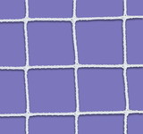 First Team FT605N Standard Duty Lacrosse Net