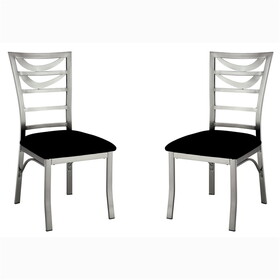 Furniture of America IDF-3729SC Drumond Contemporary Stainless Steel Side Chairs (Set of 2)