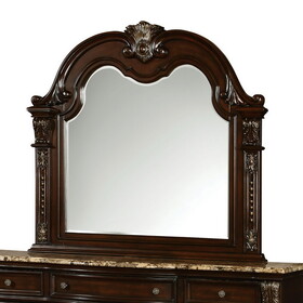 Furniture of America Karlia Traditional Wood Framed Mirror