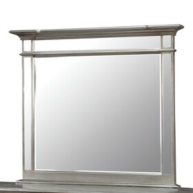 Furniture of America IDF-7673M Emmes Transitional Square Shaped Mirror
