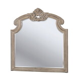 Furniture of America IDF-7800M Ithel Traditional Wood Framed Mirror