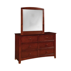 Furniture of America Tammy Transitional 6-Drawer Dresser with Mirror
