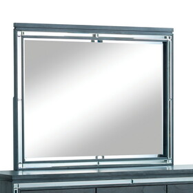 Furniture of America IDF-7971M Hariel Contemporary Rectangle Mirror