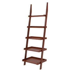 Furniture of America Zavala Contemporary Ladder Shelf