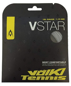 Volkl V25018 V-Star 18L (Silver)