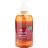 Melvita By Melvita Gentle Purifying Shampoo 16.9 Oz, Women