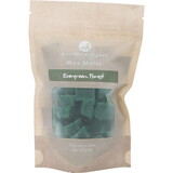 Evergreen Forest By Northern Lights Wax Melts Pouch 4 Oz, Unisex