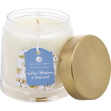 Cotton Blossom & Dogwood by Northern Lights Scented Soy Glass Candle 10 Oz, Unisex