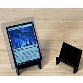 Pro-Mold PM-PCSTAND Card Holder Stand