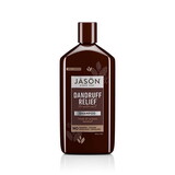 Jason Dandruff Relief Shampoo 12 fl. oz.