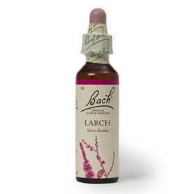 Bach Original Flower Remedies Larch Flower Essence 20 ml
