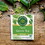 Traditional Medicinals Organic Green Tea Matcha With Toasted Rice