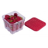 HIC 236751 Kitchen BerryFresh Produce Box 4H x 4W