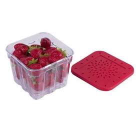 HIC Kitchen BerryFresh Produce Box 4"H x 4"W