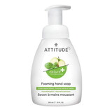 Attitude Foaming Hand Soap, Green Apple & Basil 10 fl. oz.