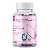 Hyland's Kids Organic Elderberry Plus Gummies 48 count