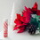 Eco Lips Candy Cane Lip Balm 3 count