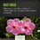 Frontier Co-op Organic Hibiscus Flowers 5.82 oz.