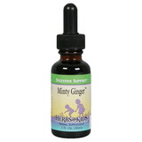 Herbs for Kids Minty Ginger Digestive Support 1 fl. oz.