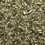 Frontier Co-op Echinacea Angustifolia Herb, Cut & Sifted, Organic 1 lb.