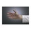 Omni Trust Vinyl Gloves Small - Omni Trust (100/box)