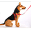 GoGO Easy Walk Dog Harness, Gentle No-Pull Dog Training Harness for Small Medium Large Dogs