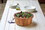 Ironwood Gourmet 28678 Salad Bowl With Lip, Acacia Wood