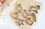 Fox Run 3648 Christmas Cookie Cutter Set, 7-Piece, Price/each