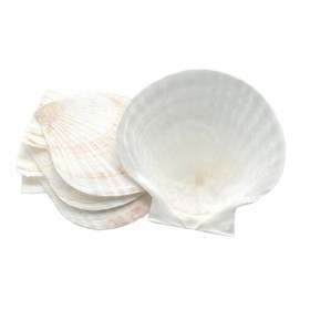 Nantucket Seafood 4770 Natural Baking Shells, Set of 4