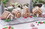 Fox Run 48750 Christmas Village Gingerbread House Cookie Cutter Set, 22 Piece