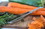 Fox Run 5094 Vegetable Peeler Display, Price/Box