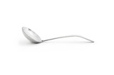Fox Run 6095 Stainless Steel Serving Ladle, 7.25-Inch