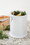 Fox Run 74941 Ceramic Compost Bin - White