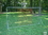 GARED RB0612 Soccer Rebounder, 6' X 12', Price/each