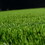 ALEKO ARTG6X12-AP Artificial Grass - Natural Green - 6 x 12 Feet