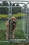 ALEKO DK13X7X6-AP DIY Chain Link Dog Kennel - 13 x 7.5 x 6 Feet