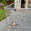 ALEKO DK13X7X6RF-AP DIY Chain Link Dog Kennel with Roof Frame - 13 x 7.5 x 6 Feet
