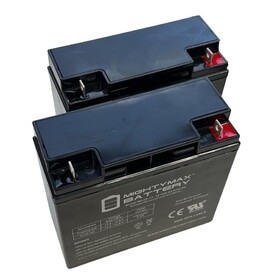 ALEKO SET2BATT22AH-AP Battery for Gate Opener - LM130 - 22AH - Set of 2